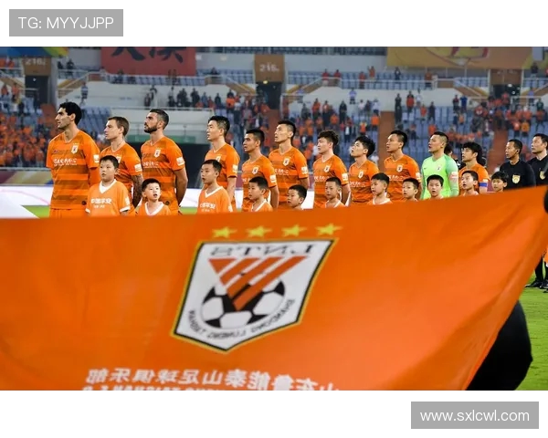 山东鲁能在中国足球职业化进程中的中超表现分析