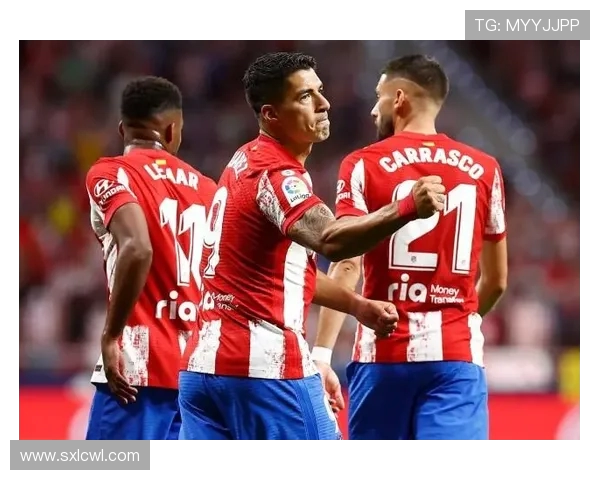 粤语西甲直播平台及赛事解说特色介绍